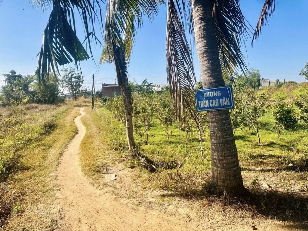 1 lô đất Sổ riêng, nở hậu đường Trần Cao Vân - Hàm Liêm