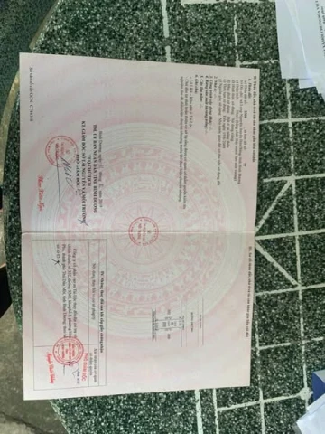 🌿🌾 CHÍNH CHỦ GỬI BÁN