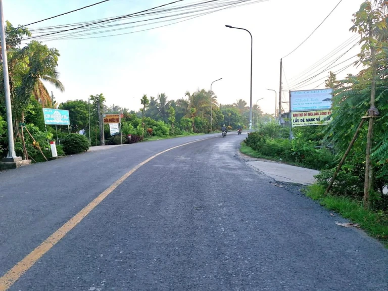 Chính chủ bán đất cách đường DT 874 300 mét (thuộc xã Tân Phú, TX Cai Lậy TG cũ)