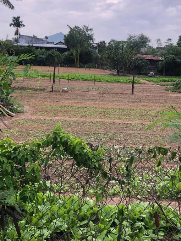 Chính chủ gửi bán mảnh mặt tiền quốc lộ 28 thuộc Hàm Chính, Hàm Thuận Bắc Bình Thuận.