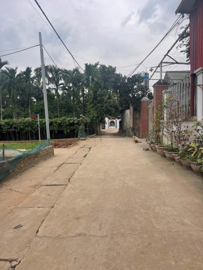 THƯ TRAI PHÚC HOÀ, 51M LÔ GÓC , ĐƯỜNG THÔNG, Ô TÔ QUAY ĐẦU TẠI ĐẤT, HƠN #TỶ BỌ THƯ TRAI PHÚC HOÀ, 51M LÔ GÓC , ĐƯỜNG THÔNG, Ô TÔ QUAY ĐẦU TẠI ĐẤT, HƠN #TỶ BỌ