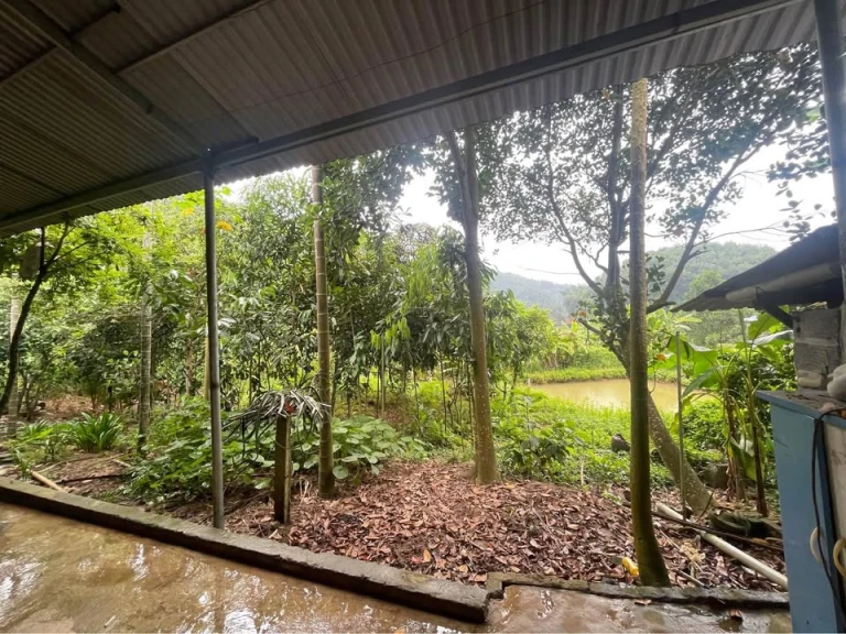 CC Bán trang trại km7 bản phiệt lh 0386.278.499