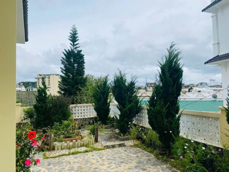 BÁN Biệt Thự . P8 Đà Lạt. Cách đường nhựa lớn 50m