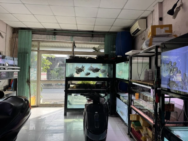 Bán nhà đường số 9, Phường Linh Xuân, Thủ Đức, TP HCM. DT 82m2, sổ hồng, 5.1 tỷ.