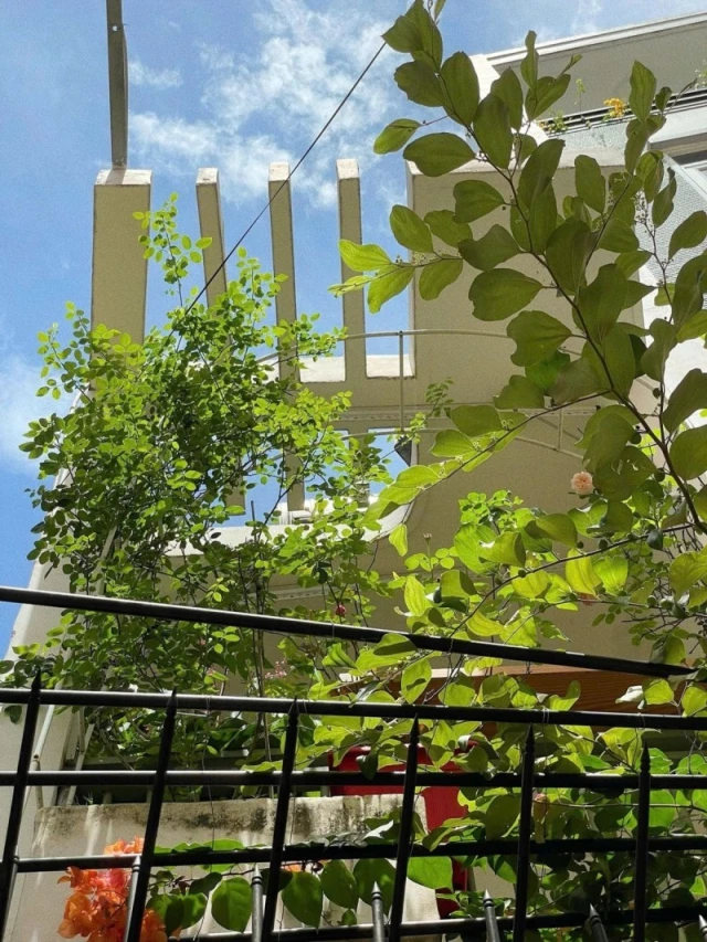 ‼️ Thích Quảng Đức Phú Nhuận – Hẻm đẹp yên tĩnh – 34m2 nở hậu – chỉ hơn 5 tỷ