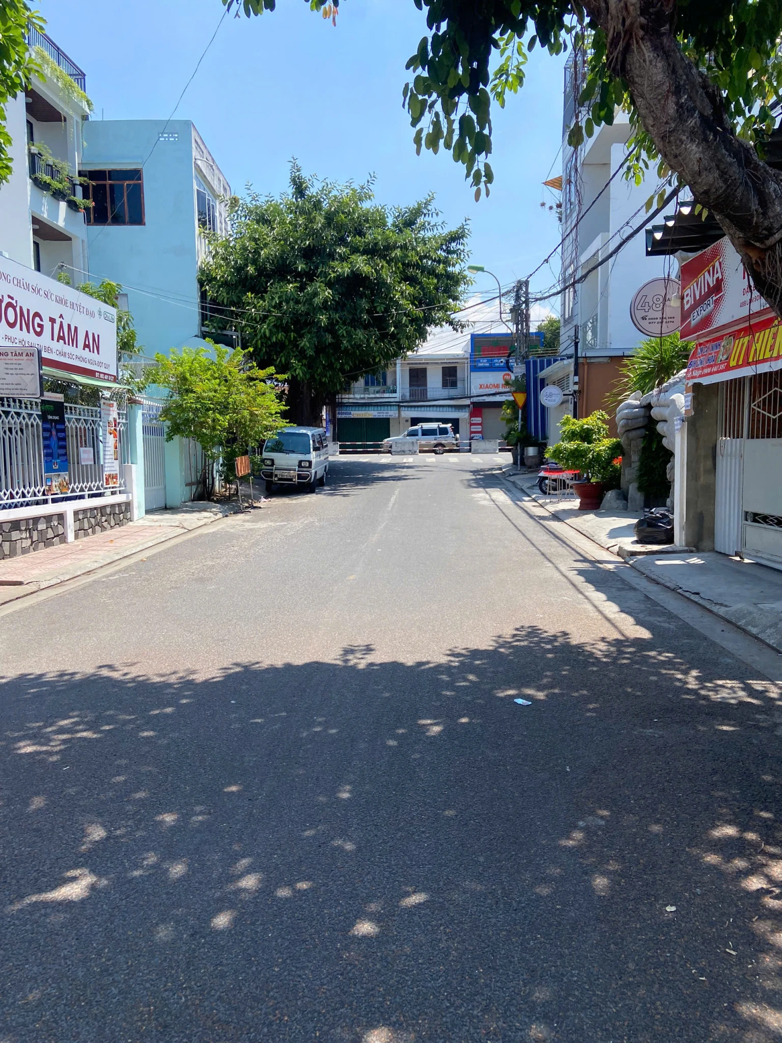 Bán đất mặt tiền trung tâm Phước Hòa – gần Lê Hồng Phong – 339m² – đường 10m