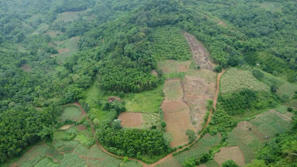 ĐẤT DÂN CẦN BÁN 50HA ĐẤT RSX F0 TẠI CAO PHONG , HÒA BÌNH CŨ ,NAY THUỘC PHÚ THỌ