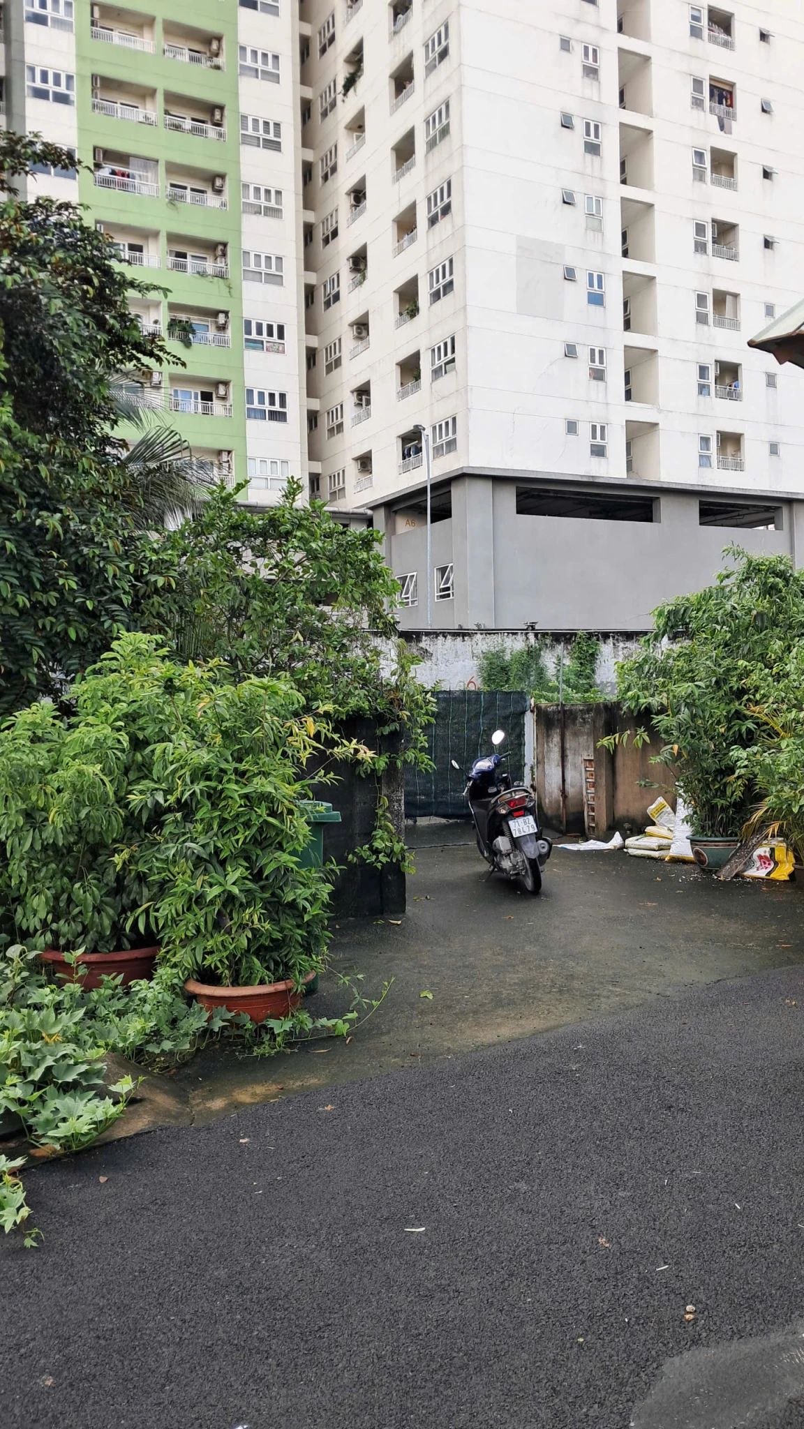 Bán Lô Đất Lớn Giá Siêu Rẻ Đường Số 3 - Trường Thọ - Thành Phố Thủ Đức