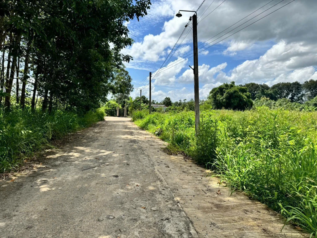 CHÍNH CHỦ CẦN BÁN ĐẤT Ở ẤP HIỆP THÀNH -  XÃ LỘC HIỆP -  HUYỆN LỘC NINH -  TỈNH BÌNH PHƯỚC