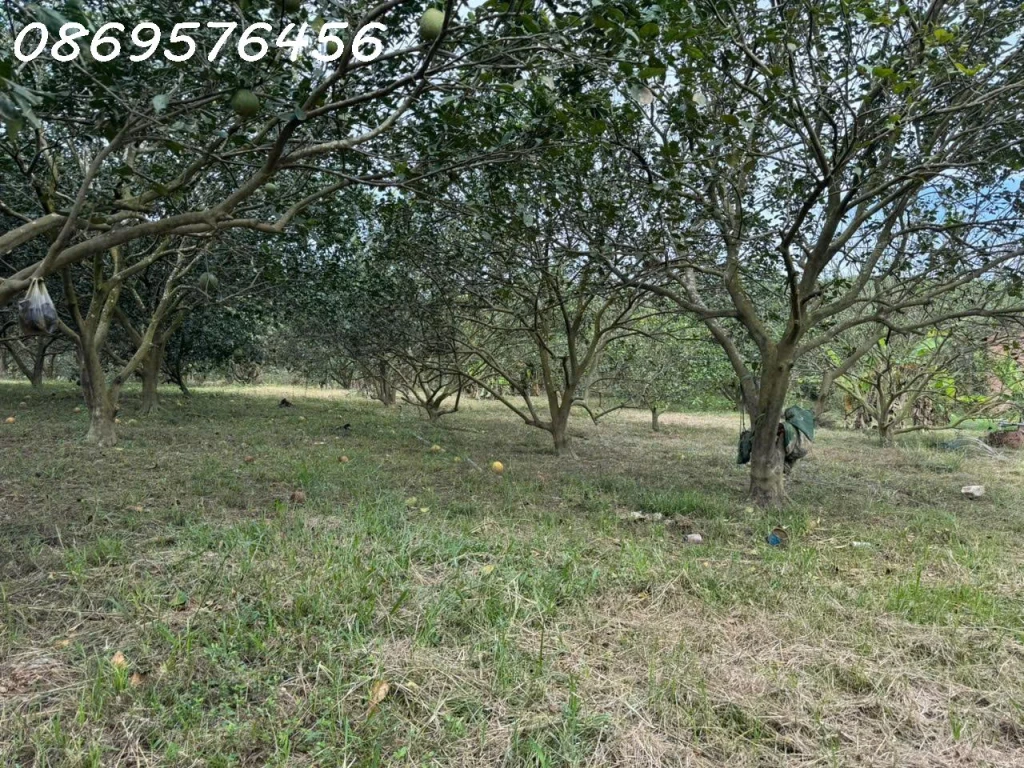 ĐẤT VƯỜN GIÁ CHỈ 150 TR CÓ NGAY 500 MÉT TẠI KHÁNH HOÀ