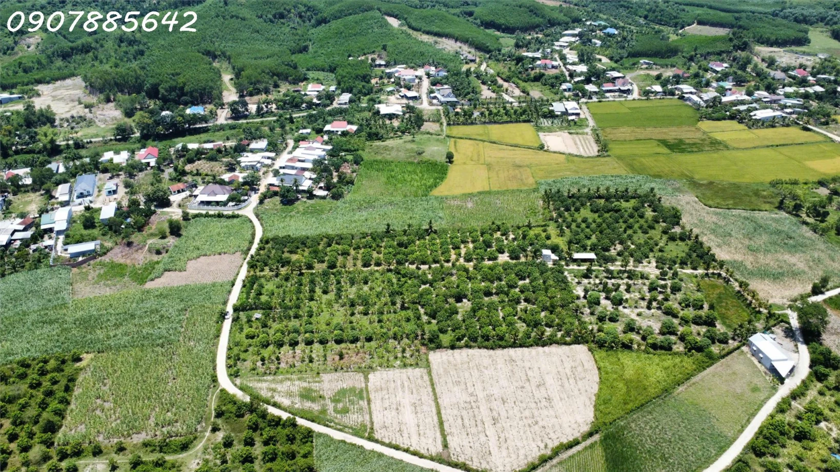 CẦN BÁN MẢNH VƯỜN GIÁ RẺ TẠI NHA TRANG