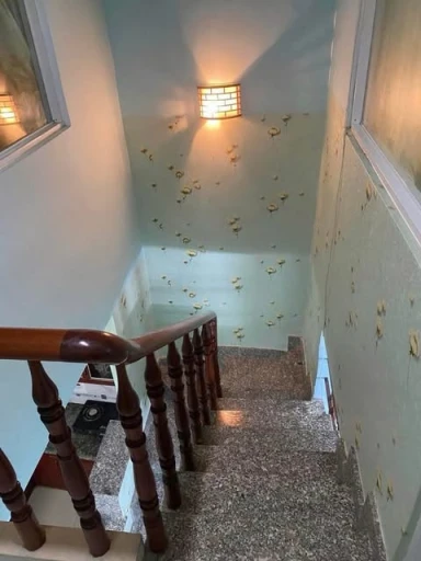 Bán Nhà Khu Vực Tân Bình - Đường Trương Công Định - 40m²/ 2 tầng - Sổ Nở Hậu - Oto Đổ Cửa - Nhỉnh 4 tỷ (TL)