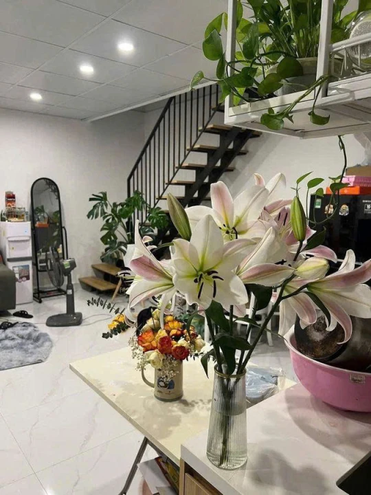 💥: NHÀ ĐẸP MỚI - SÂN Ô TÔ - GẦN CHỢ HÀ ĐÔNG 🏡. Bán nhà Nguyễn Trãi, Hà Đông.