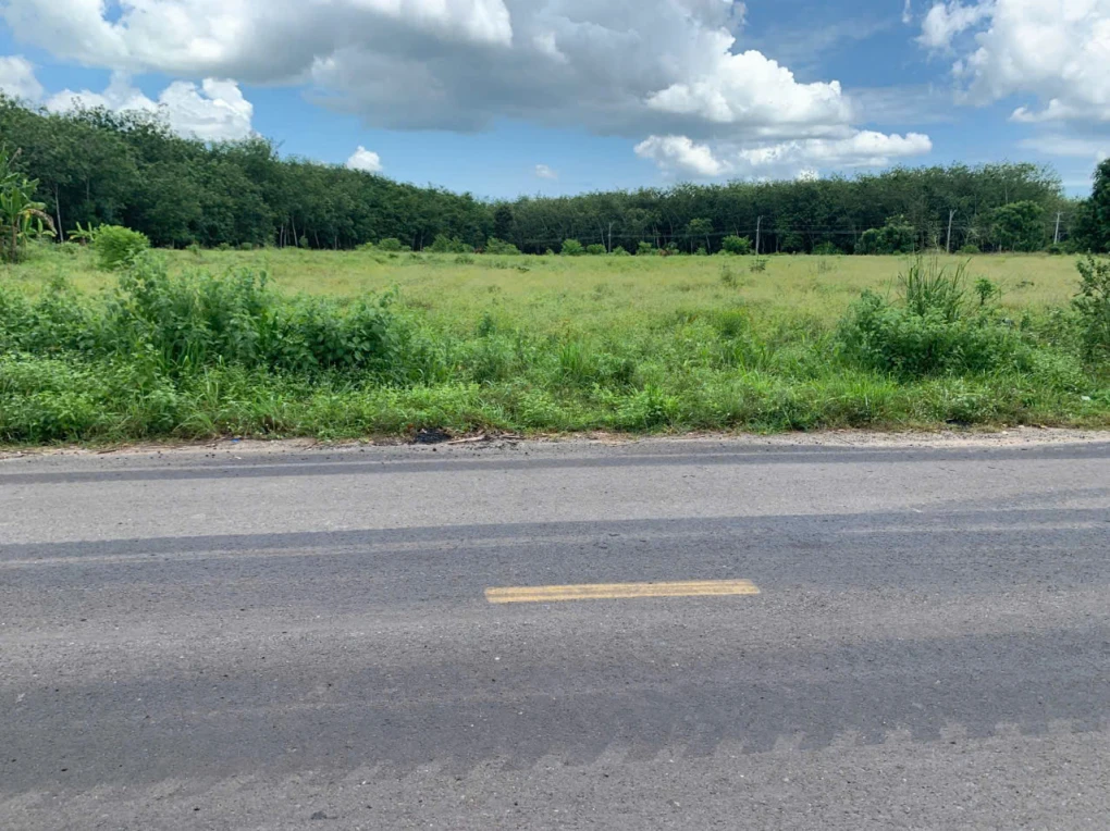 BÁN QUỸ ĐẤT 2,35 HA MẶT TIỀN ĐƯỜNG NHỰA – PHƯỜNG LONG NGUYÊN, TP HỒ CHÍ MINH