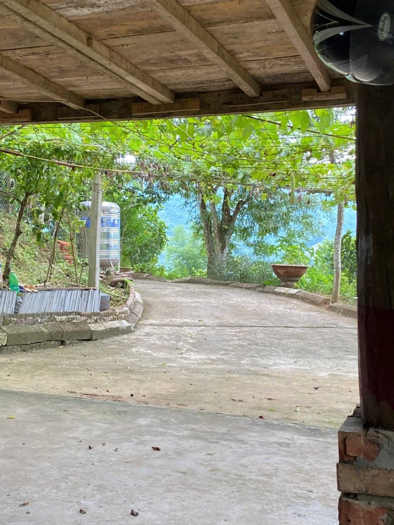 CHÍNH CHỦ BÁN GẤP TRANG TRẠI 12.415,7m² TẠI PHƯỜNG THỐNG NHẤT, TỈNH PHÚ THỌ – CHỈ CÁCH HÀ NỘI KHOẢNG 70KM