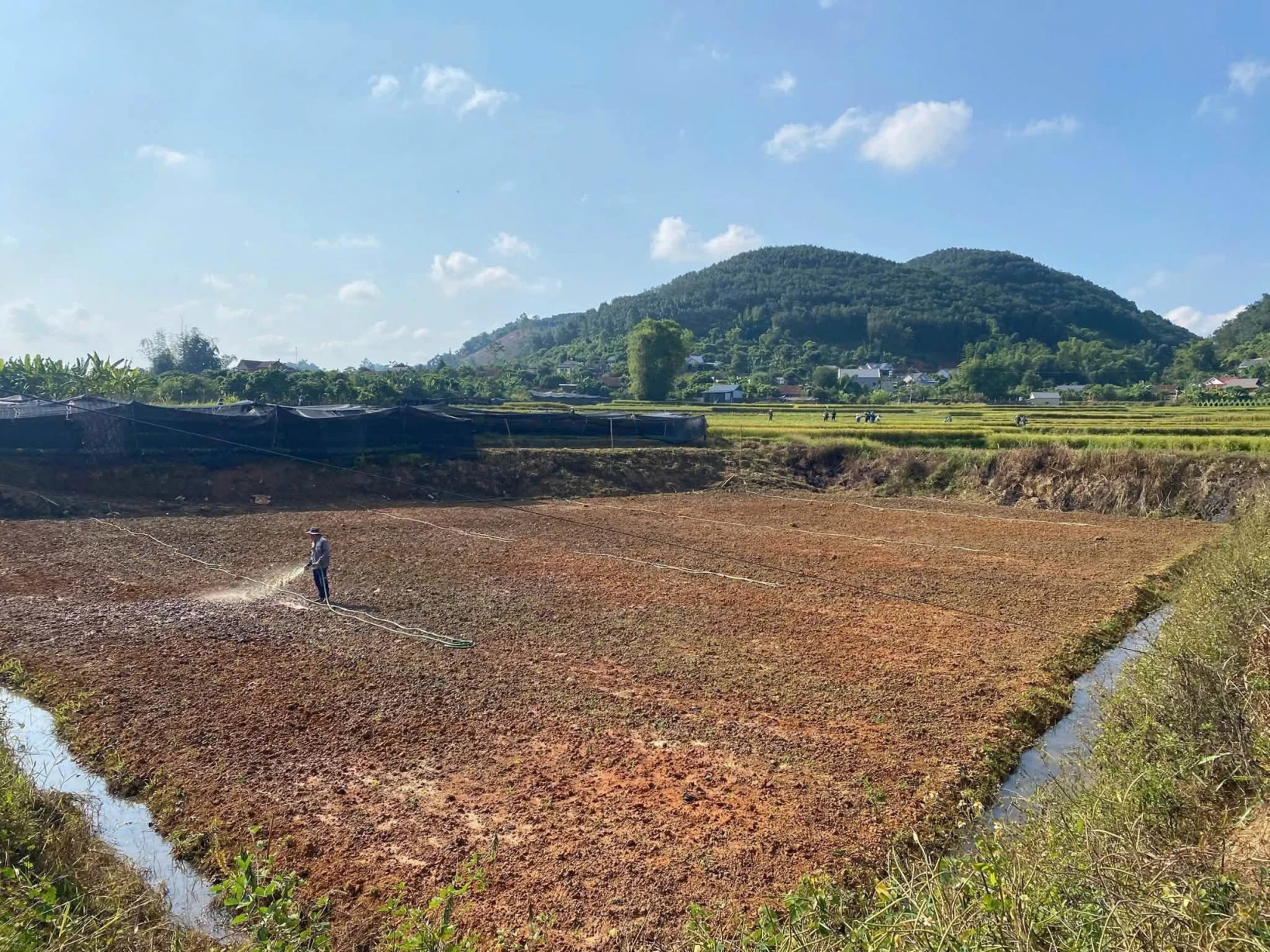 CHÍNH CHỦ BÁN NHÀ VƯỜN, TRANG TRẠI SINH THÁI 4.000M² – BẢN UN, XÃ CHIỀNG MUNG, SƠN LA – GIÁ CHỈ 880 TRIỆU