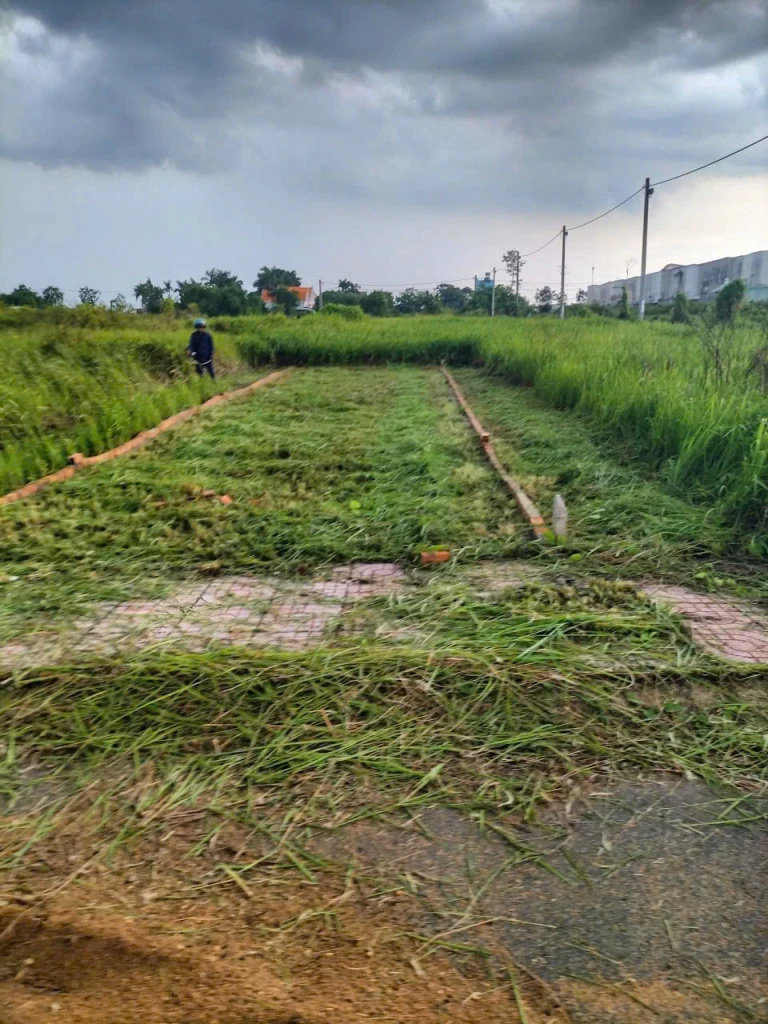 *CHÍNH CHỦ CẦN BÁN GẤP LÔ ĐẤT GIÁ RẺ NGAY XÃ TÂN LÂN, CẦN ĐƯỚC, LONG AN