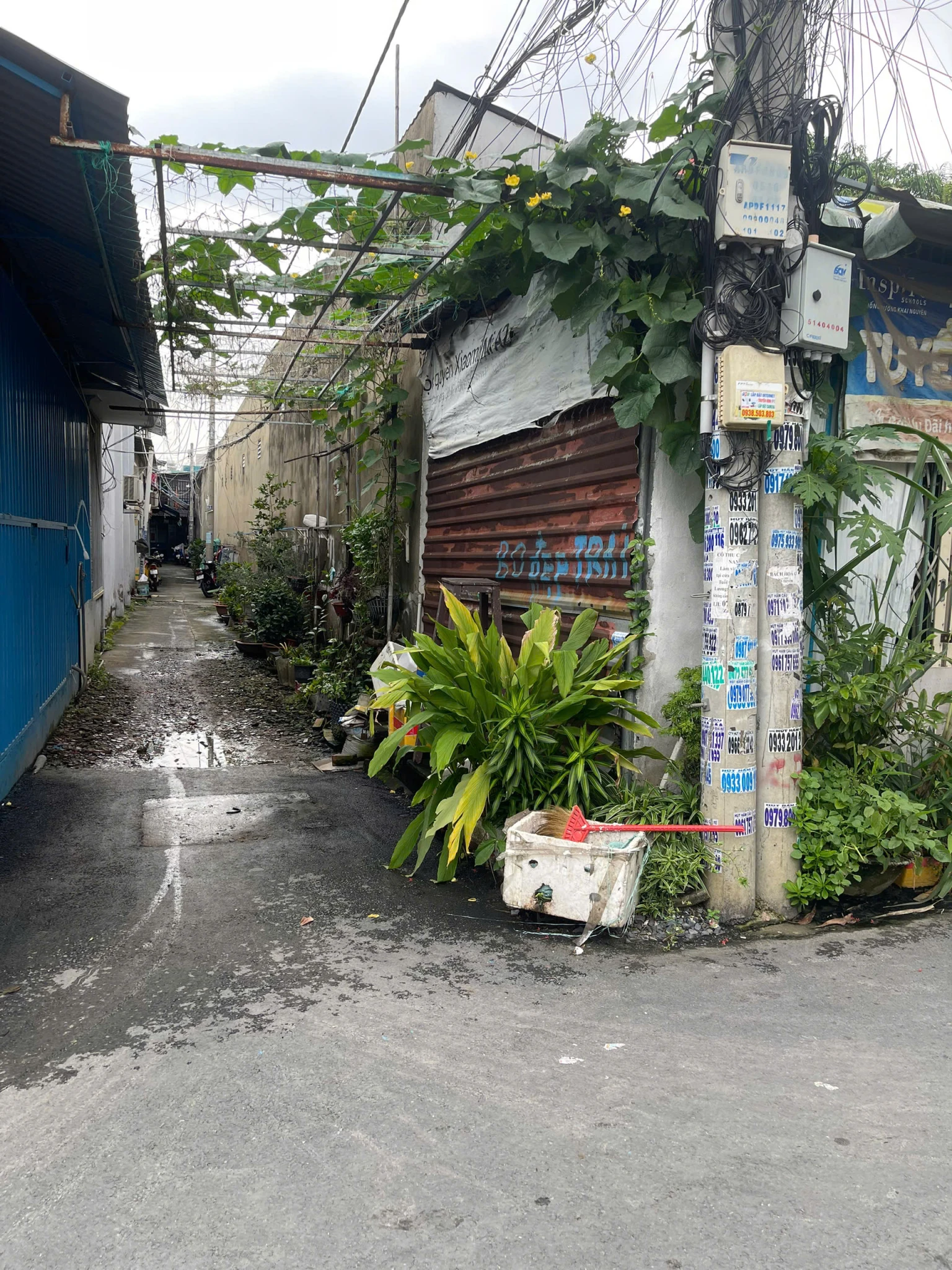 BÁN DÃY TRỌ SIÊU DÒNG TIỀN – AN PHÚ ĐÔNG, QUẬN 12