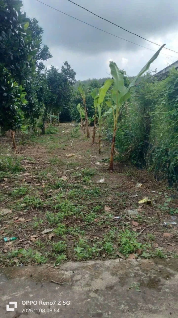 CHÍNH CHỦ CẦN BÁN ĐẤT XÃ THANH BÌNH – HUYỆN HỚN QUẢN, BÌNH PHƯỚC