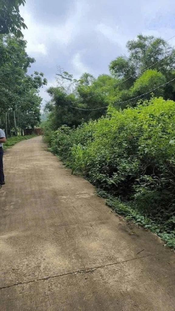 CẦN BÁN 5 SÀO ĐẤT XÃ  PHƯỚC AN – HỚN QUẢN - BÌNH PHƯỚC