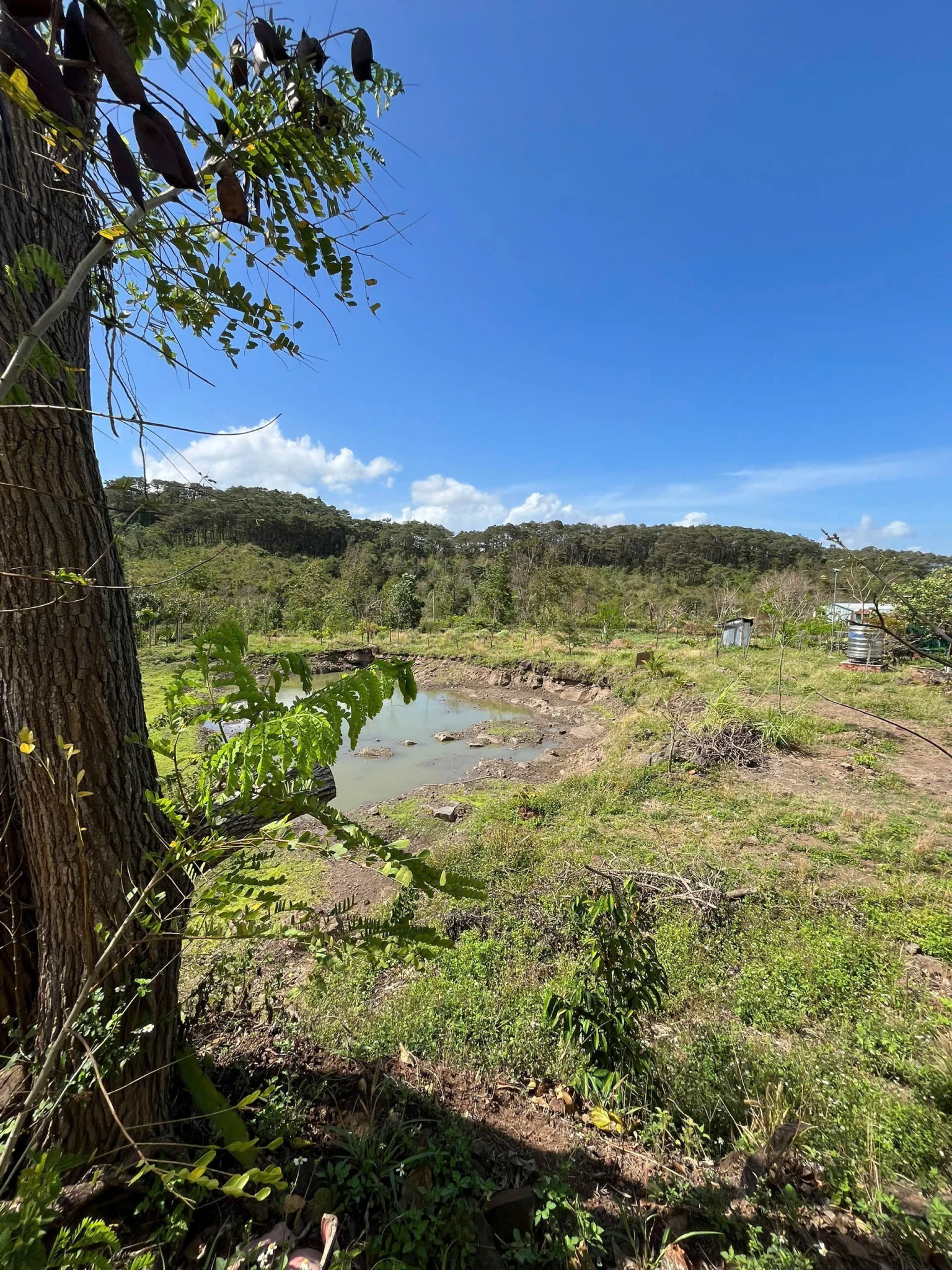 Cần bán hoặc cho thuê lô đất rộng 3 mặt tiền Tại Mai Thị Lựu, P Ea Tam, TpBuôn Ma Thuột, Đắk Lắk