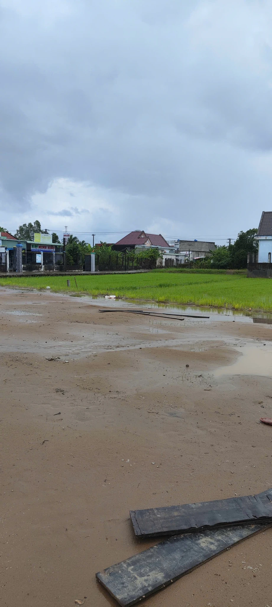 CẦN BÁN GẤP ĐẤT MT ĐƯỜNG BÊ TÔNG. PHÂN LÔ TẠI MỸ YÊN, BẾN LỨC, LONG AN,