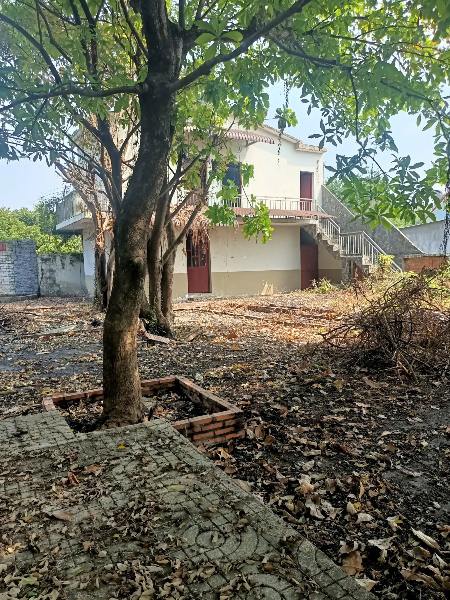 bán Gấp Lô Đất 2 Mặt tiền đường Đặng Thị Sữa và Nguyễn Thị Sương xã Tân Thạnh Tây - Củ Chi