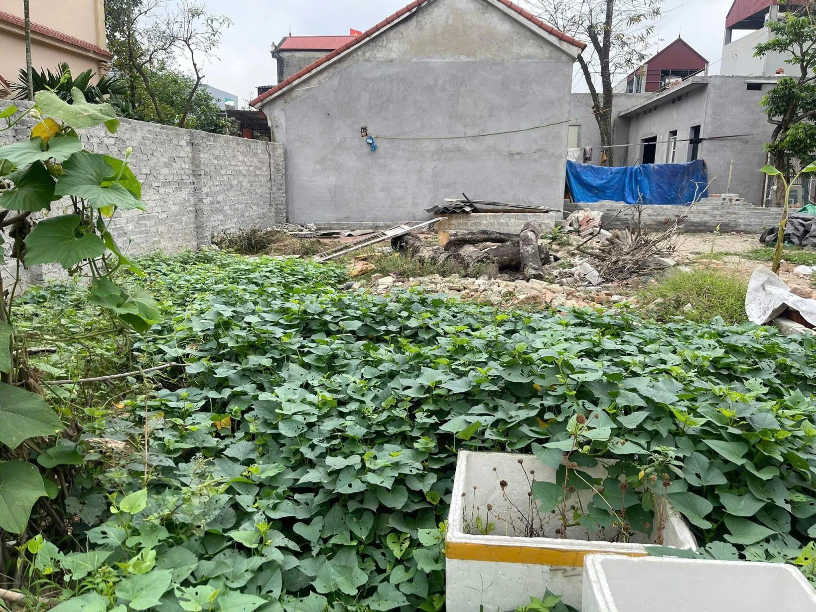 MAI ĐÌNH -76M - CHỈ NHỈNH 3ty - SÁT KCN NỘI BÀI - Ô TÔ TRÁNH - GẦN TRƯỜNG HỌC CÁC CẤP