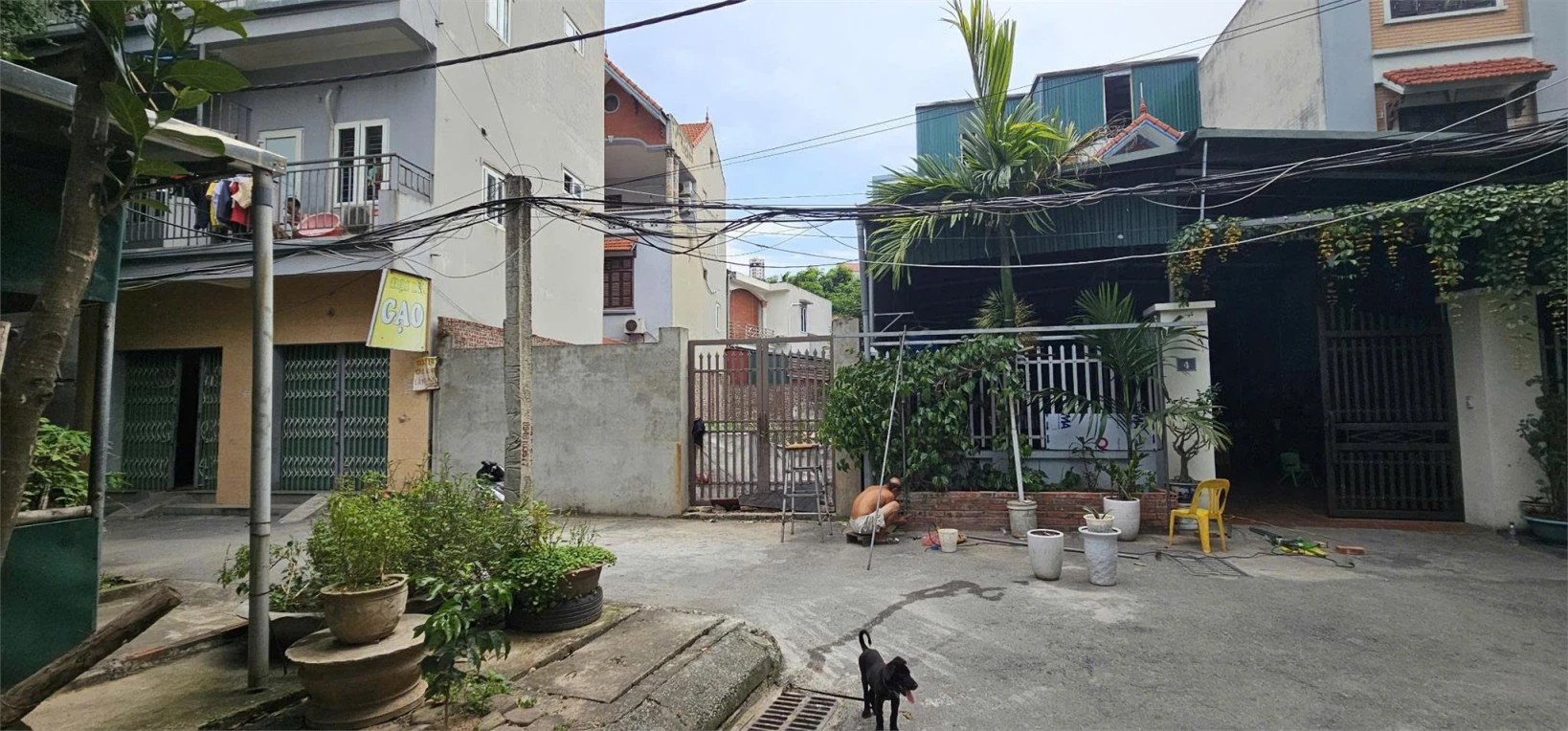 SỞ HỮU NGAY ĐẤT ĐẸP - GIÁ TỐT - Vị Trí Đắc Địa Tại Hà Đông, Hà Nội