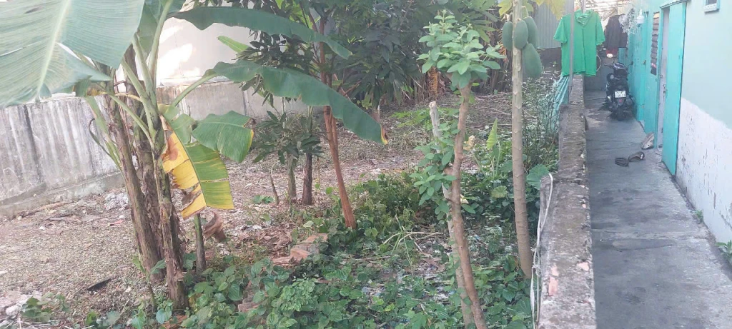 ⭐️Chính chủ bán gấp đất nền Tiền Lân 14A, xã Bà Điểm, TP.HCM (Hóc Môn cũ) - 177m - 6,45 tỷ; 0937524135