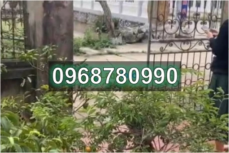 ⭐️CHÍNH CHỦ bán gấp lô đất đẹp tại Châu Giang (Duy Tiên, Hà Nam), nay là P.Duy Tân, Ninh Bình, 0968780990