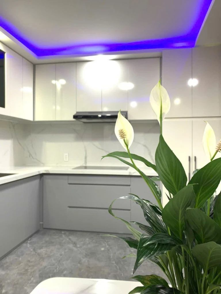 NHÀ GÁC ĐÚC – KIỆT 192 TÔ HIỆU  HÒA MINH – LIÊN CHIỂU