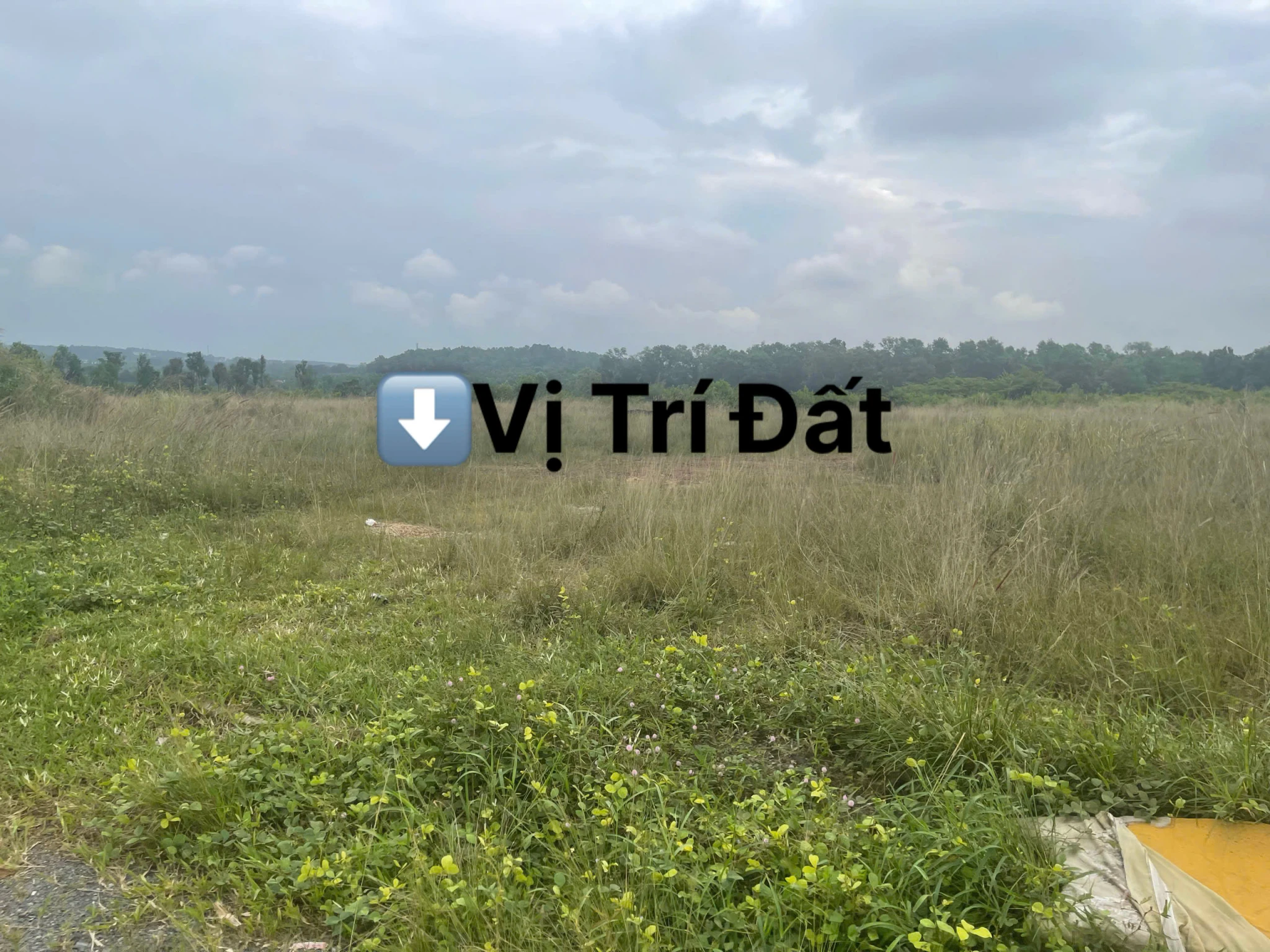 🏡Đất gần KCN Giang Điền, Mặt Tiền Đường Võ Chí Công Vào 20m, Full Thổ Cư, Giá Chỉ 12tr/m2