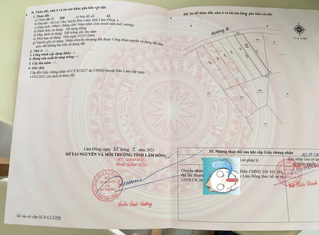 598m² View Hồ Ngọc – Quỹ đất đẹp cho mô hình lưu trú