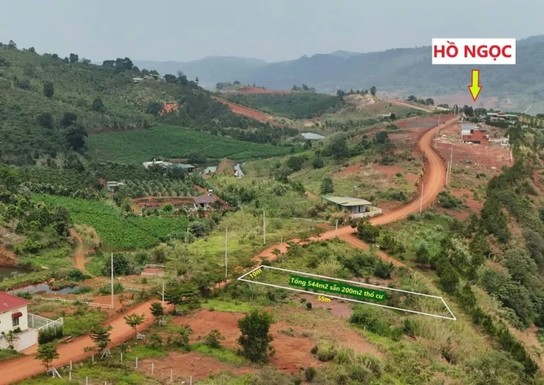 540m² (200m² thổ cư) – Lô đất tiềm năng tăng giá gần cao tốc Tân Phú – Bảo Lộc