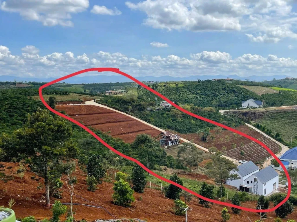 ĐẤT HẺM LÝ THÁI TỔ – BẢO LỘC , LÂM ĐỒNG 4.550m² ,OTO TỚI ĐẤT ,GIÁ THU HỒI VỐN