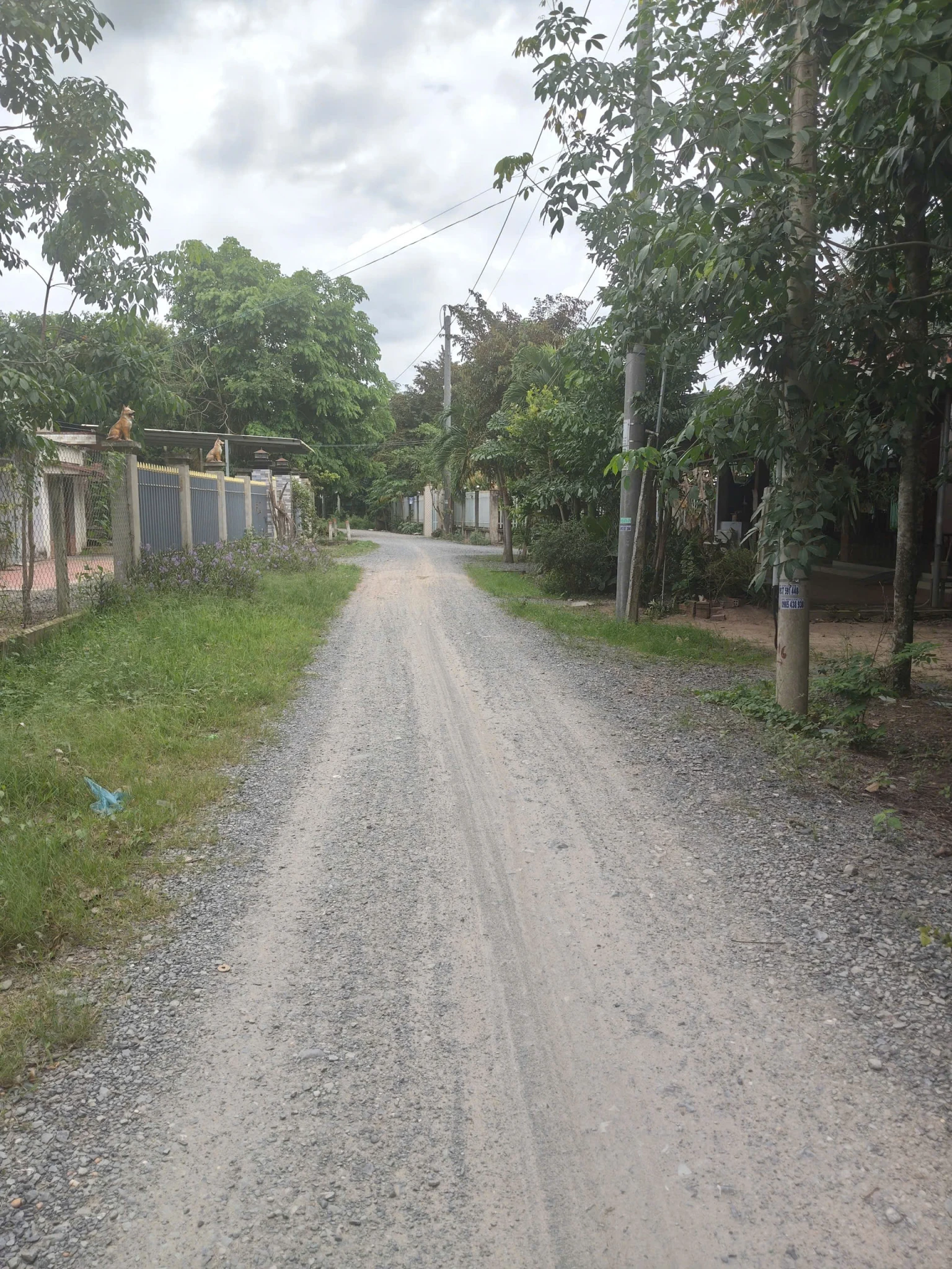 BÁN ĐẤT TẶNG NHÀ – 1.140M² FULL THỔ CƯ – GÒ DẦU, TÂY NINH