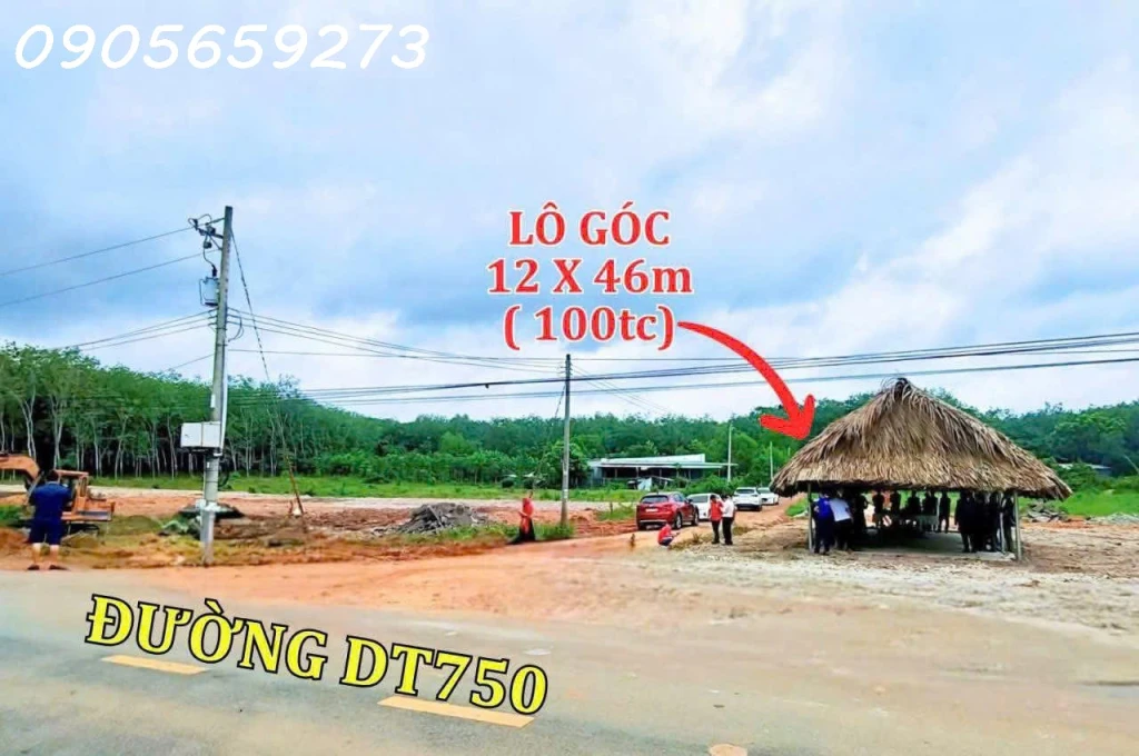 Cần bán gấp 650m2 (15x42) có 300m2 thổ cư tại DT750 - Long hòa DầuTiếng