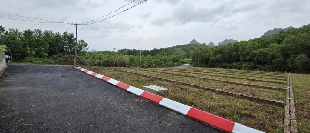 Đầu tư tích sản ngay từ bây giờ vốn ít chỉ 1xx sẵn sổ riêng