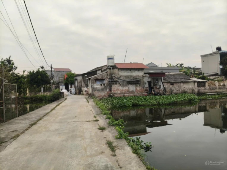 BÁN ĐẤT SƠN ĐỒNG QUỲNH GIAO (NAY LÀ XÃ MINH THỌ, HƯNG YÊN)