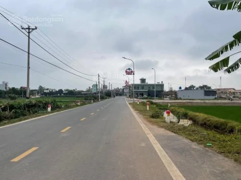 BÁN ĐẤT MẶT ĐƯỜNG TRỤC XÃ QUỲNH MỸ (NAY THUỘC QUỲNH PHỤ) VỊ TRÍ KINH DOANH TỐT