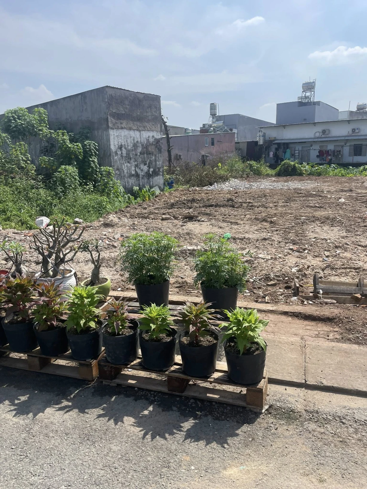 Bán đất mặt tiền đường nhựa 12m ngang 5x18m giá 5 tỷ Đường Đông Thạnh 7-3