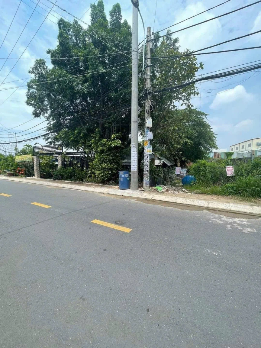 Bán đất đường nhựa 7m thông 5x24m giá 6,5 tỷ Đường Đông Thạnh 6 -3