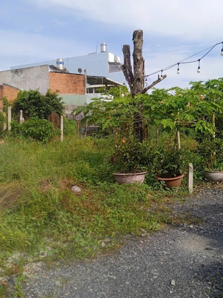 BÁN ĐẤT CHÍNH CHỦ VỊ TRÍ ĐẸP ĐƯỜNG TỈNH LỘ 825 – ĐỨC HÒA HẠ, LONG AN