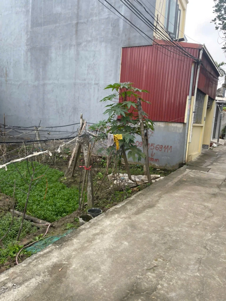 BÁN ĐẤT KHU CÁT BI 1 – TRÀNG CÁT – HẢI AN – HẢI PHÒNG