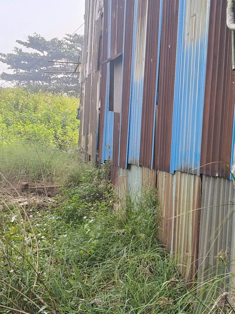 THUÊ ĐẤT VƯỜN – DIỆN TÍCH LỚN 3.200m² – CÓ THỂ DỰNG NHÀ – VỊ TRÍ THUẬN TIỆN TẠI BÌNH TÂN