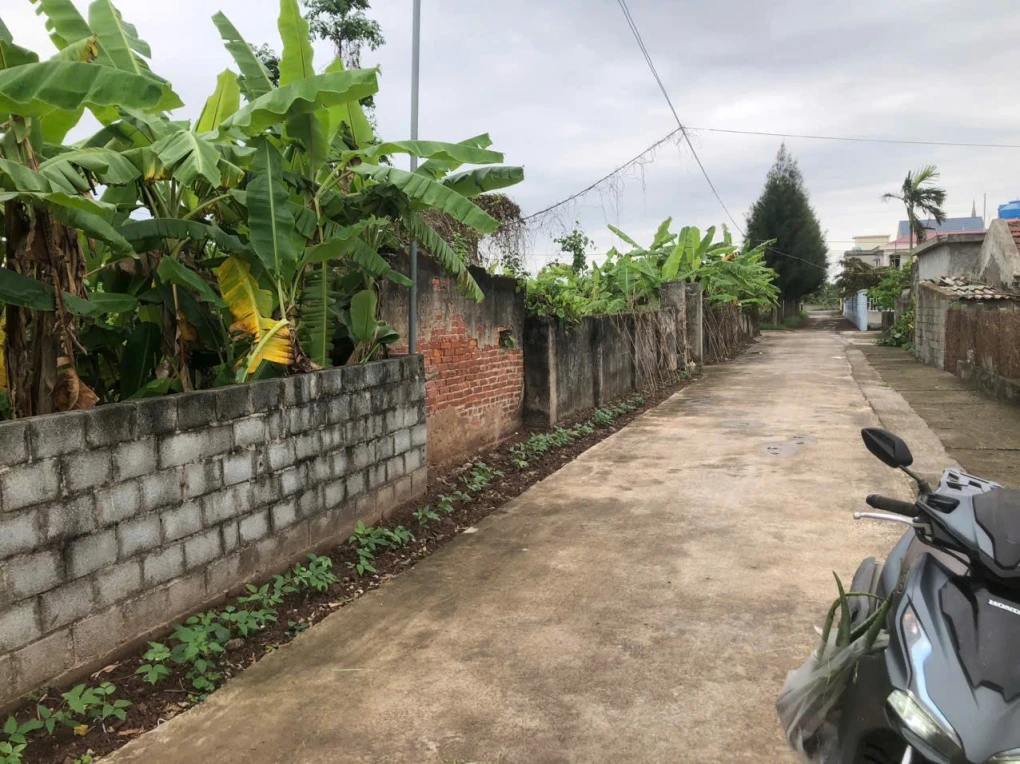 CHÍNH CHỦ CẦN BÁN ĐẤT THÔN THỦ CHÍNH -XÃ NAM CHÍNH-TIỀN HẢI -THÁI BÌNH