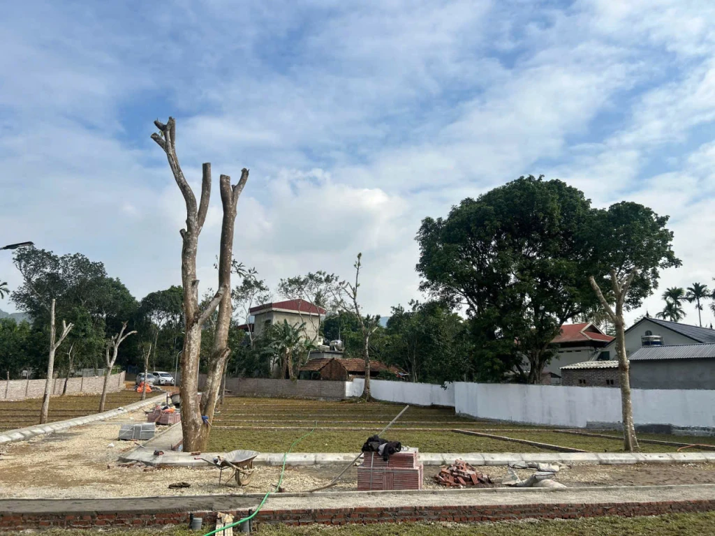 BẮT ĐÚNG NHỊP MUA – NẮM TRỌN DƯ ĐỊA TĂNG GIÁ - CƠ HỘI ĐẦU TƯ CHỈ BẮT ĐẦU TỪ 300 TRIỆU