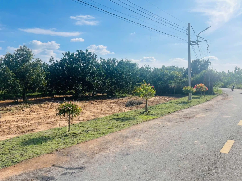 🔥 BÁN VƯỜN BƯỞI – TẶNG KÈM ĐẤT THỔ CƯ, GIÁ CHỈ TỪ 300 TRIỆU SỞ HỮU NGAY 🍊