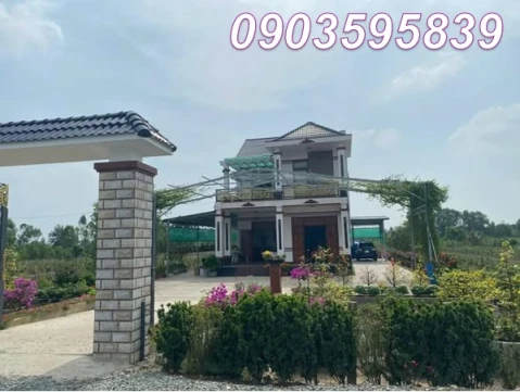 ⭐️Chính chủ bán nhà đất tại Ấp 3 (Tân Thành, Thủ Thừa, Long An). Nay là xã Mỹ Thạnh, Tây Ninh, 0903595839